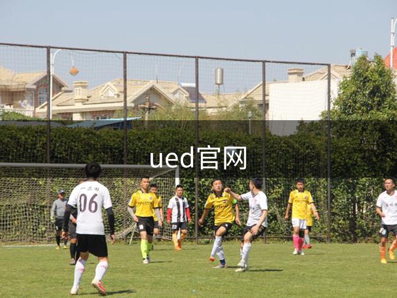 关于本站